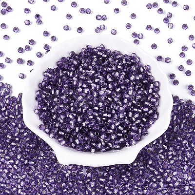 Silver Lined Glass Seed Beads SEED-T007-18A-09-1