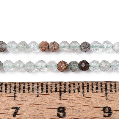 Natural Green Lodolite Quartz/Garden Quartz Beads Strands G-T143-01-1