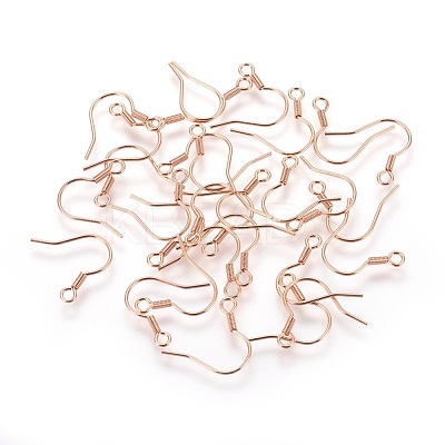304 Stainless Steel Earrings Hooks X-STAS-P227-06RG-1