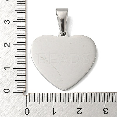Tarnish Resistant 304 Stainless Steel Pendants STAS-I135-12P-1