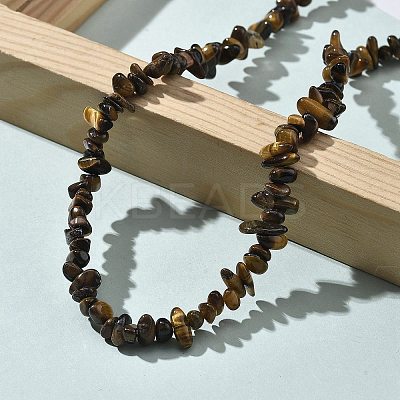Natural Supper 7 Rutilated Quartz Chip Beaded Necklaces for Men Women NJEW-G159-01X-1