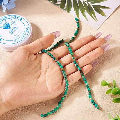 DIY Natural Regalite/Imperial Jasper/Sea Sediment Jasper Beads Bracelets  Making KIts DIY-TA0002-69C-1