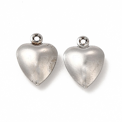 Non-Tarnish 304 Stainless Steel Charms STAS-F289-01P-1