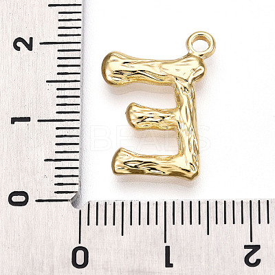 304 Stainless Steel Pendants STAS-N117-01G-E-1