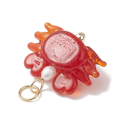 Handmade Lampwork Pendants PALLOY-JF04984-1