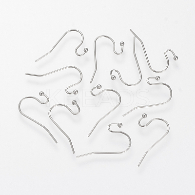 Non-Tarnish 304 Stainless Steel Earring Hooks LS-X-STAS-S066-09-1