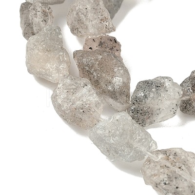 Natural Black Soya Bean Raw Ore Beads Strands G-M453-D08-1