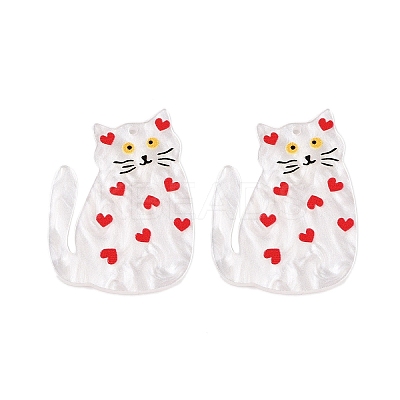 Printed Acrylic Pendants OACR-T028-09A-1