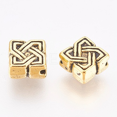 Tibetan Style Alloy Beads LS-GLF0867Y-1