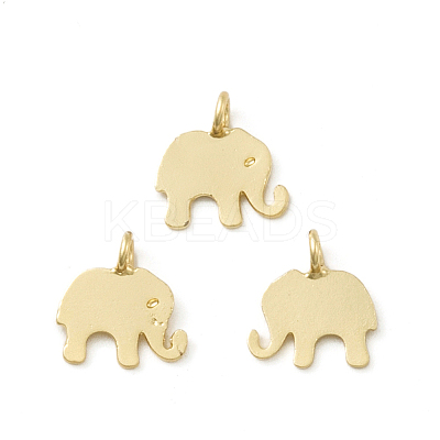 Brass Charms KK-E788-12G-1