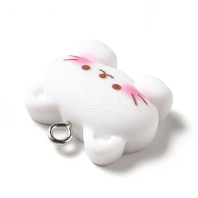 Opaque Resin Pendants X-RESI-G056-01D-1