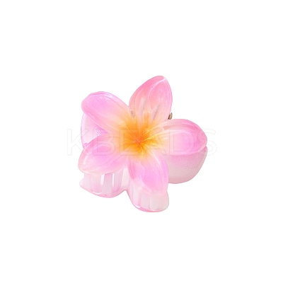 Plastic Claw Hair Clips PW-WG07B2B-11-1