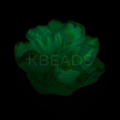 Luminous Resin Cabochons X-RESI-E033-02D-1