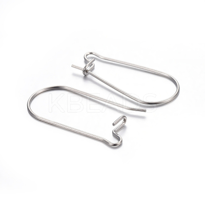 Tarnish Resistant 304 Stainless Steel Hoop Earring Findings X-STAS-P223-01P-03-1