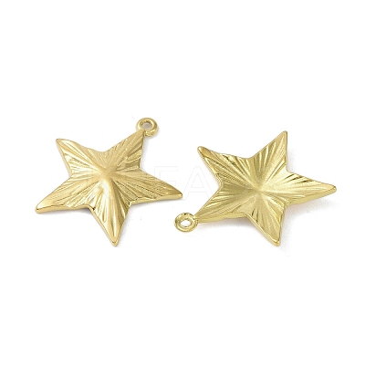 Ion Plating(IP) 304 Stainless Steel Pendants STAS-R233-15G-1