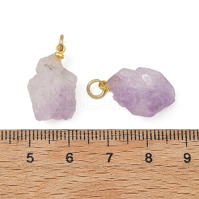 Raw Rough Natural Amethyst Pendants PALLOY-JF05951-1