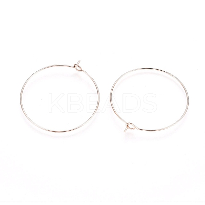 Ion Plating(IP) 316L Surgical Stainless Steel Hoop Earring Findings LS-X-STAS-D164-01RG-1