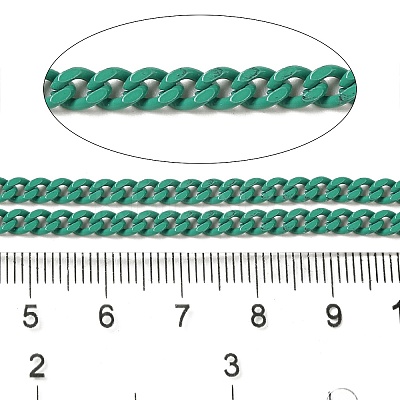 Spray Painted 304 Stainless Steel Curb Chains STAS-B067-05B-10-1