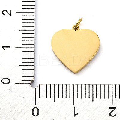 304 Stainless Steel Enamel Charms STAS-E550-66G-1