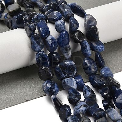 Natural Sodalite Beads Strands G-P497-01E-55-1