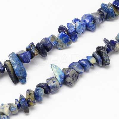 Natural Lapis Lazuli Stone Bead Strands G-R192-13-1