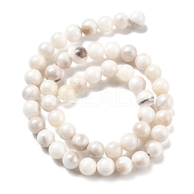 Natural Persian Jade Beads Strands X-G-A255-A02-02K-1