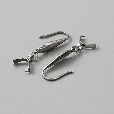 316 Stainless Steel Earring Hooks STAS-WH0031-18P-1