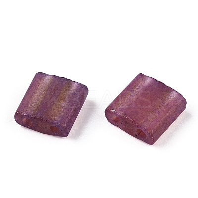 2-Hole Glass Seed Beads SEED-T003-02C-04-1