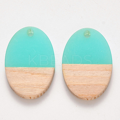 Transparent Resin & Wood Pendants RESI-S384-007A-C01-1