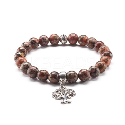Natural Mixed Stone Round Beads Stretch Bracelet for Girl Women BJEW-JB06930-1