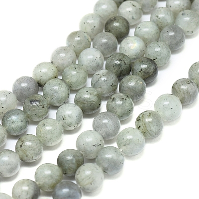 Natural Labradorite Beads Strands G-G828-01-10mm-1
