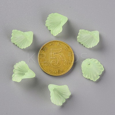 Frosted Acrylic Bead Caps MACR-S371-10A-728-1