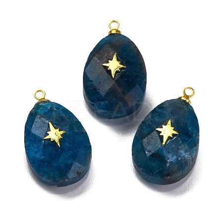 Natural Apatite Pendants G-B089-01G-03-1
