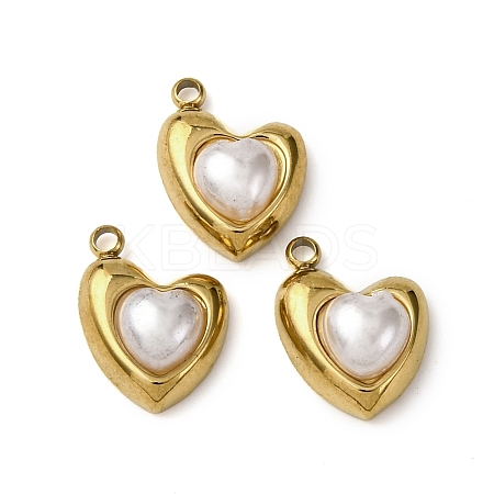 304 Stainless Steel Charms STAS-P406-11G-1