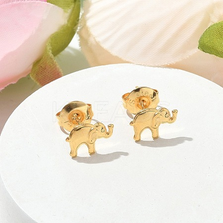 304 Stainless Steel Stud Earrings for Women LS-STAS-Z117-15G-04-1