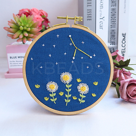 Flower & Constellation Pattern 3D Bead Embroidery Starter Kits DIY-P077-084-1