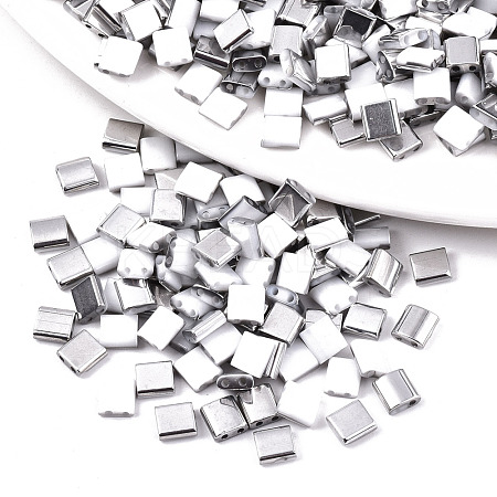 FGB 2-Hole Glass Seed Beads SEED-S031-L-ST41-K-1