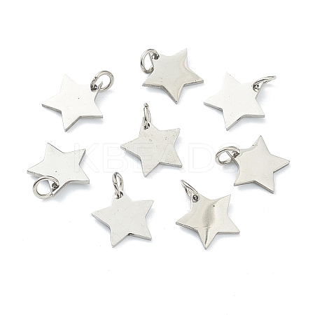 Tarnish Resistant (Defective Closeout Sale: Scratches)304 Stainless Steel Charms STAS-XCP0001-34-1
