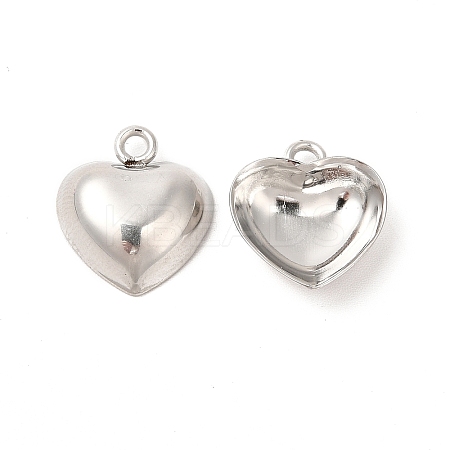 Non-Tarnish 304 Stainless Steel Pendants LS-STAS-L268-043P-1