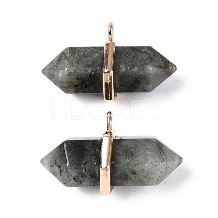 Natural Labradorite Double Terminal Pointed Pendants G-N345-09H-1