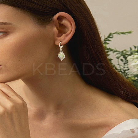 1Pair Alloy Hoop Earrings EJEW-LP0008-041-1