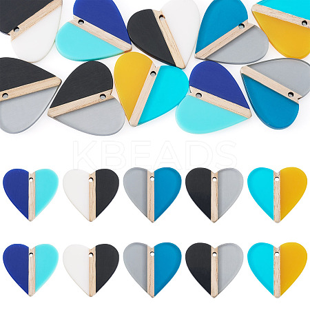 10Pcs 5 Colors Opaque & Transparent Resin & Wood Pendants RESI-TA0004-59-1