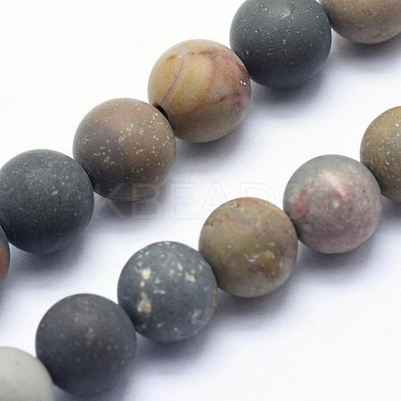 Natural Ocean Agate/Ocean Jasper Beads Strands G-G716-02-6mm-1