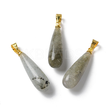 Natural Labradorite Teardrop Pendants G-Q005-03G-07-1