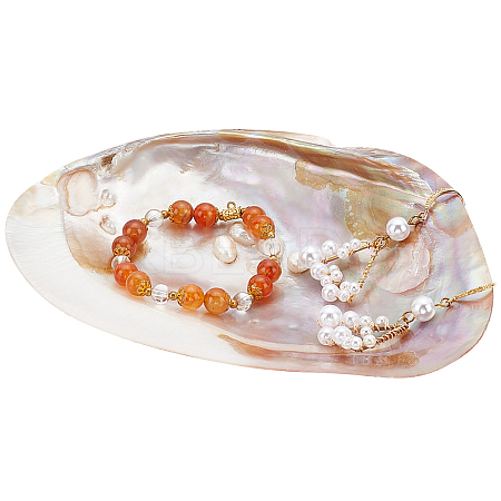 Natural Shell Ring Holder DJEW-WH0001-36-1