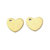 Ion Plating(IP) 201 Stainless Steel Charms LS-STAS-H191-01B-G-1