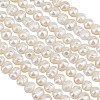 2 Strands Natural Cultured Freshwater Pearl Beads Strands PEAR-BBC0001-12-1