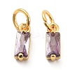 Brass Micro Pave Cubic Zirconia Charms ZIRC-F111-03G-12-1
