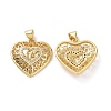 Brass Cubic Zirconia Pendants KK-G453-18G-1