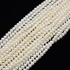 Natural Cultured Freshwater Pearl Beads Strands PEAR-L001-F-13-1
